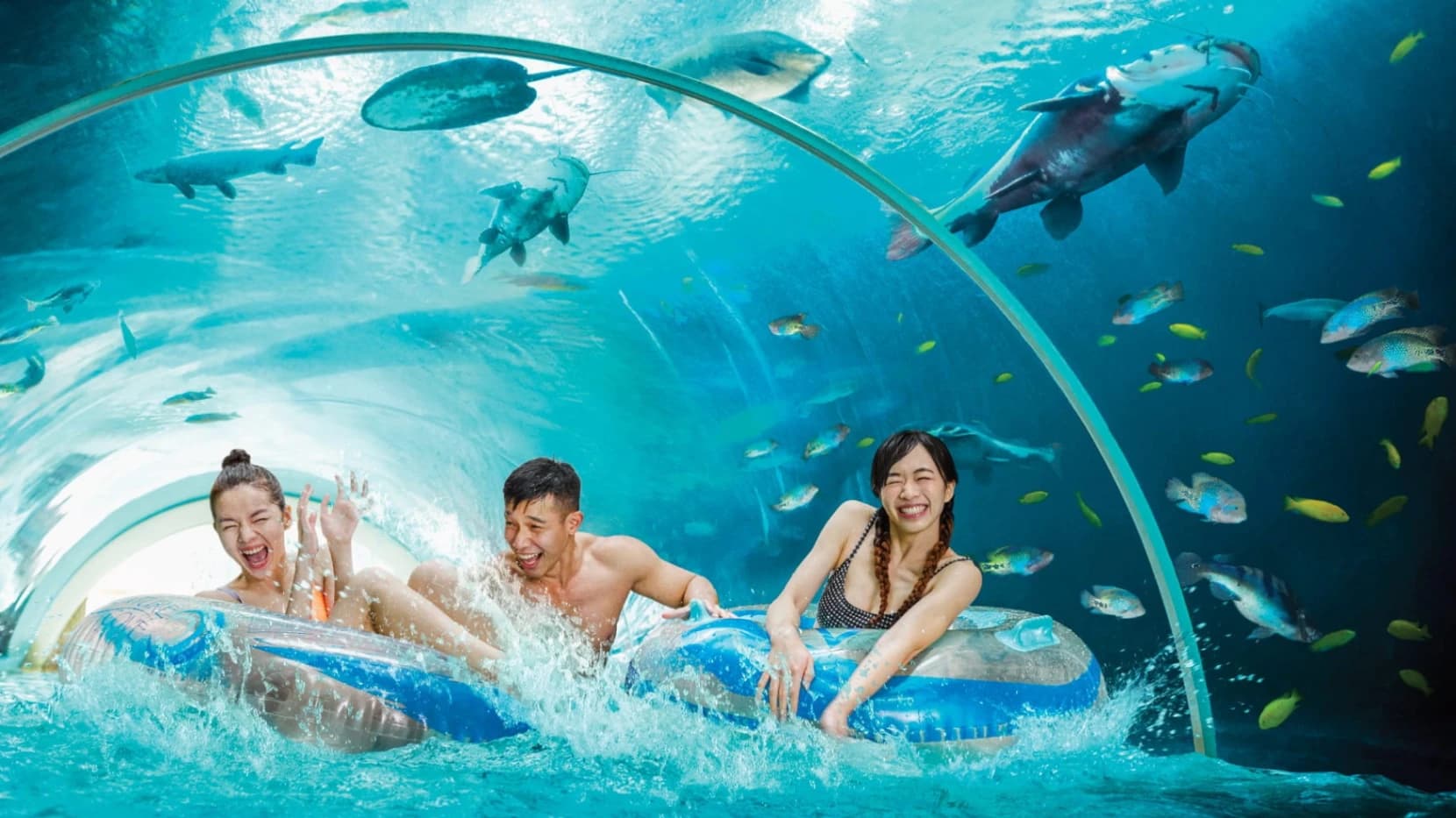 Singapore Adventure Pulse